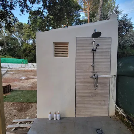 Piedra Redonda De Trassierra